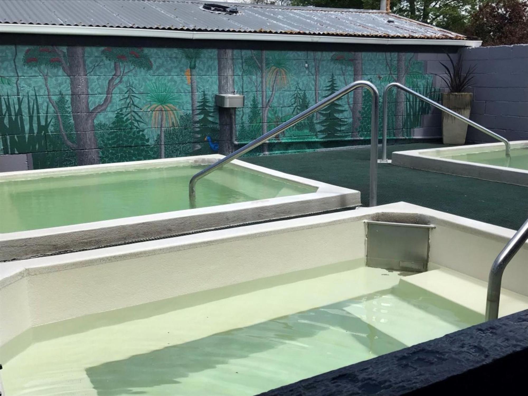 Rotorua Thermal Holiday Park מראה חיצוני תמונה